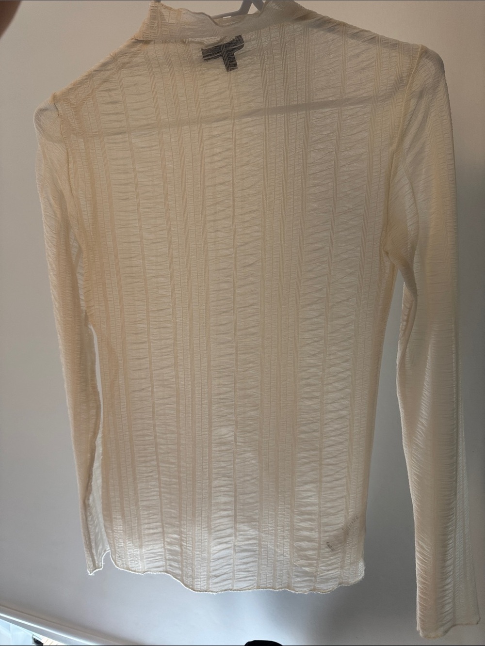 Dynamite Cream Long Sleeve Mock Neck Sheer Top